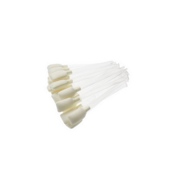file_6874f739ce0b1.webp