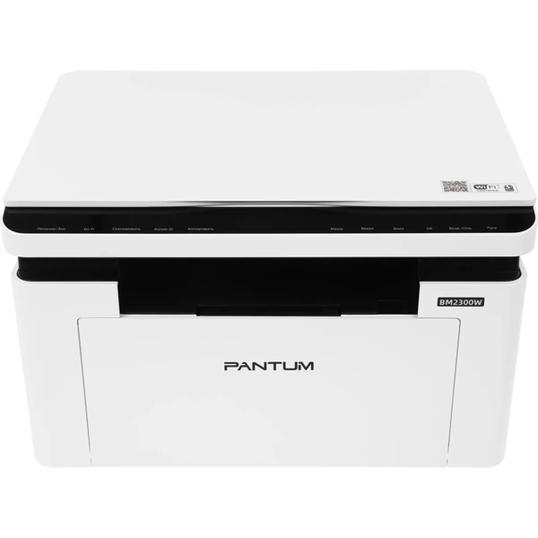 мфу лазерный pantum bm2300w
