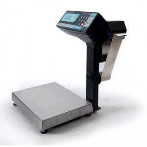 Весы с принтером печати МАССА-К МК-15.2-RP-10 MK20923
