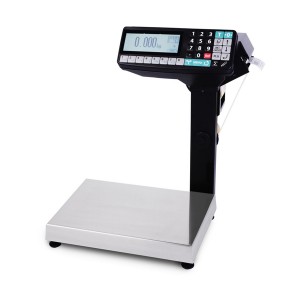Весы с принтером печати МАССА-К МК- 6.2-RP-10-1 MK20932