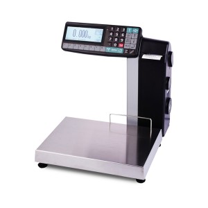Весы с принтером печати МАССА-К MK-32.2-RL-10-1 MK58002